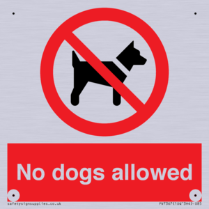 No dogs allowed
